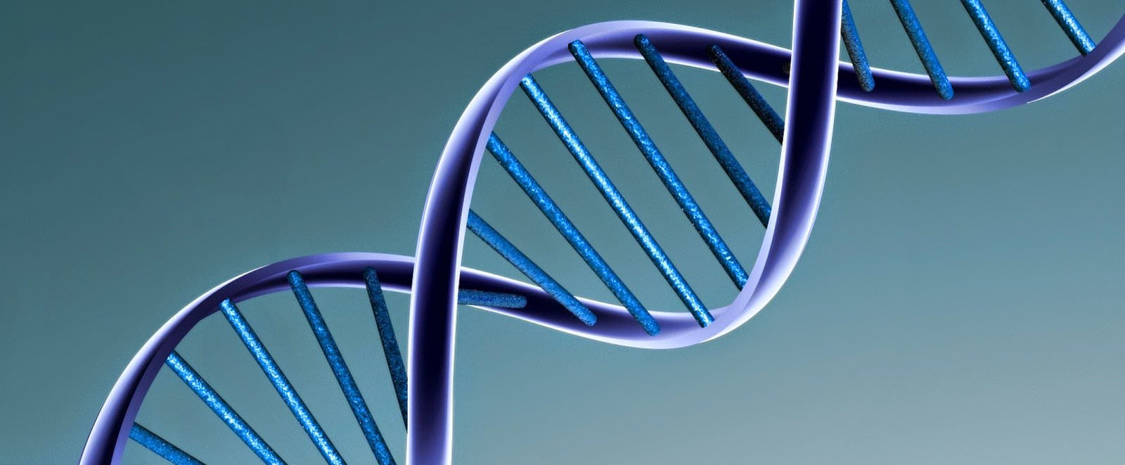 CLINICA (STORIA) DI ORLANDO